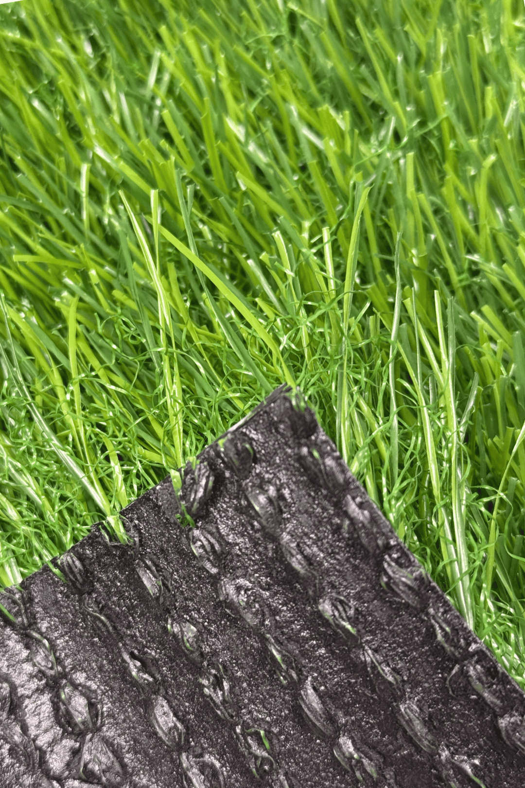 50 MM Grass MR Artificial Grass