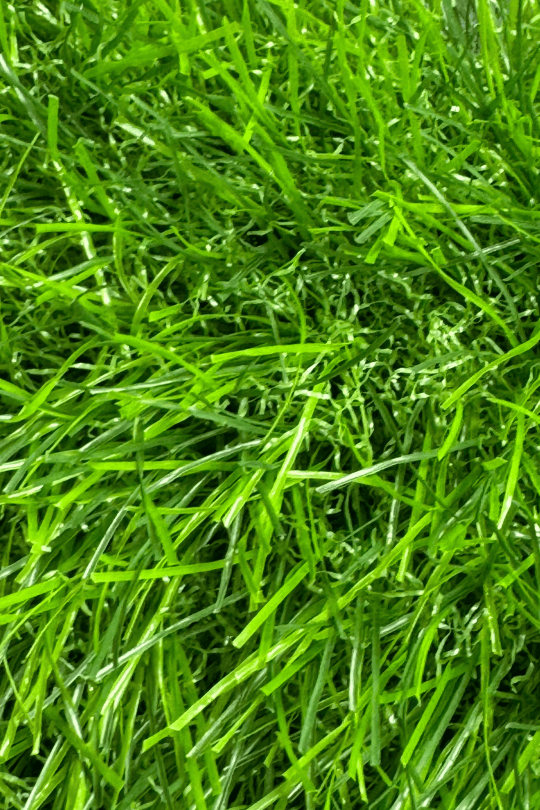 30 MM Grass SWD Artificial Grass