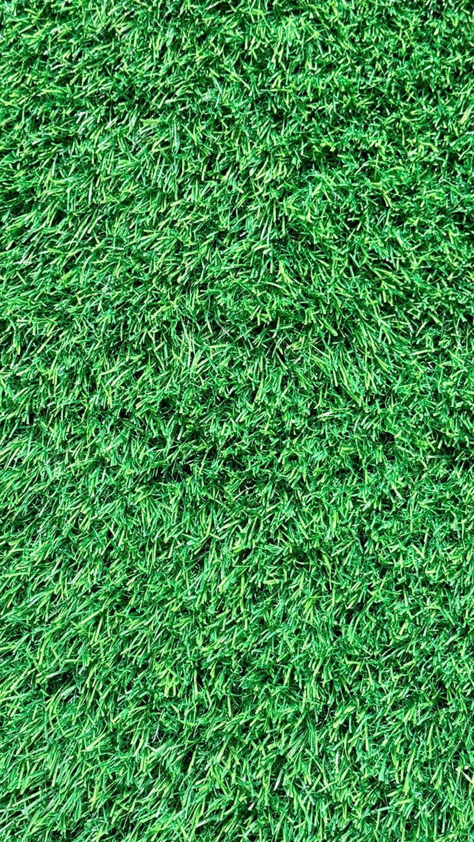 50 MM MR Artificial Grass