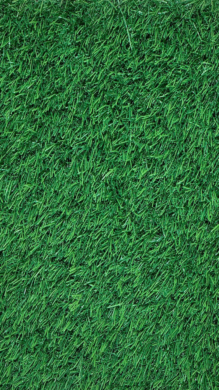 30 MM Grass FL Artificial Grass