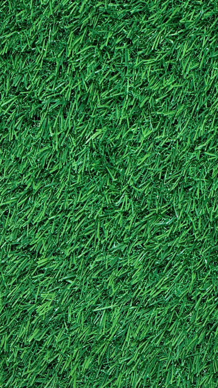 30 MM Grass FL Artificial Grass