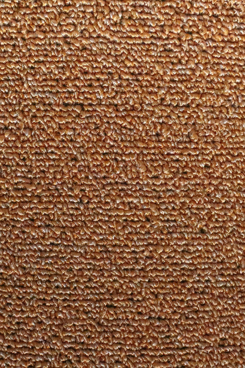 Express - 12-Foot Wide Wall-to-Wall Carpet - V Surfaces