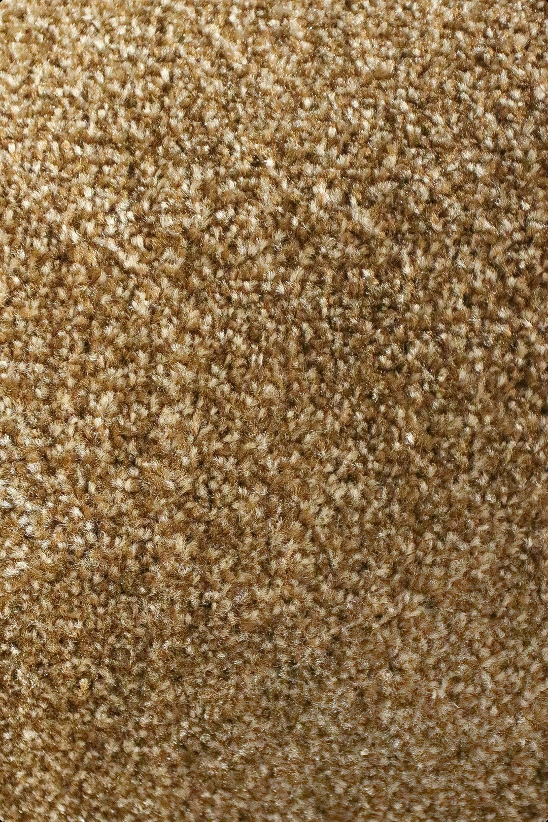 Fragnance - 12-Foot Wide Wall-to-Wall Carpet - V Surfaces