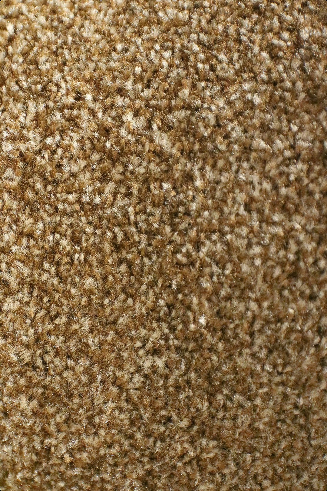 Fragnance - 12-Foot Wide Wall-to-Wall Carpet - V Surfaces