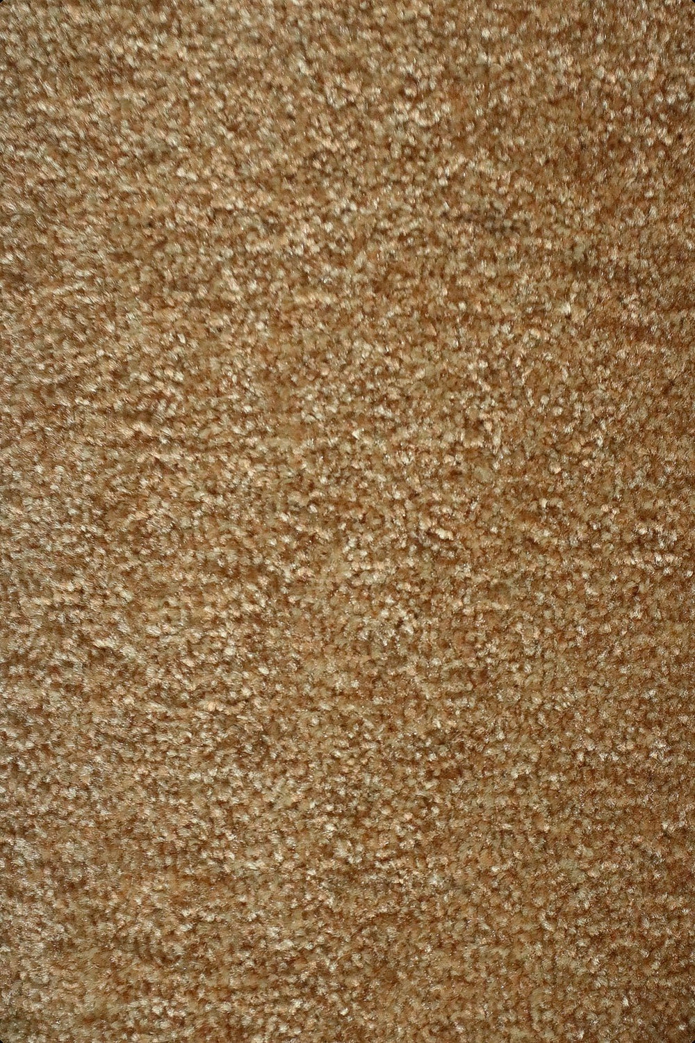 Fragnance - 12-Foot Wide Wall-to-Wall Carpet - V Surfaces