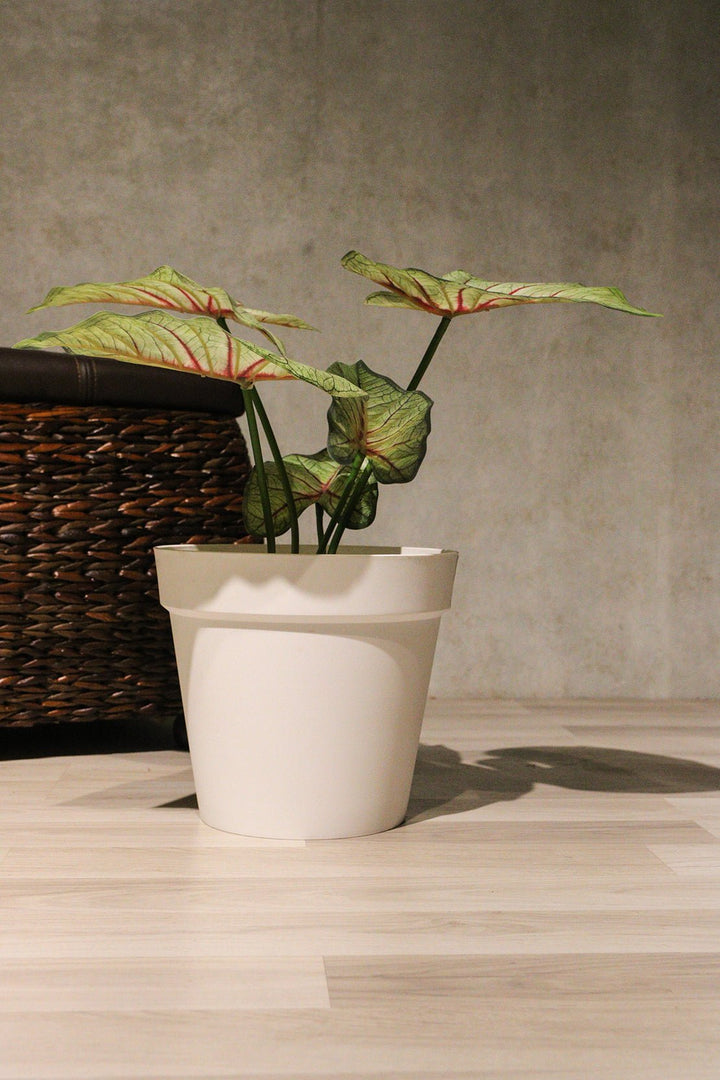 Plastic Floor Planter White (Planter Only) - V Surfaces