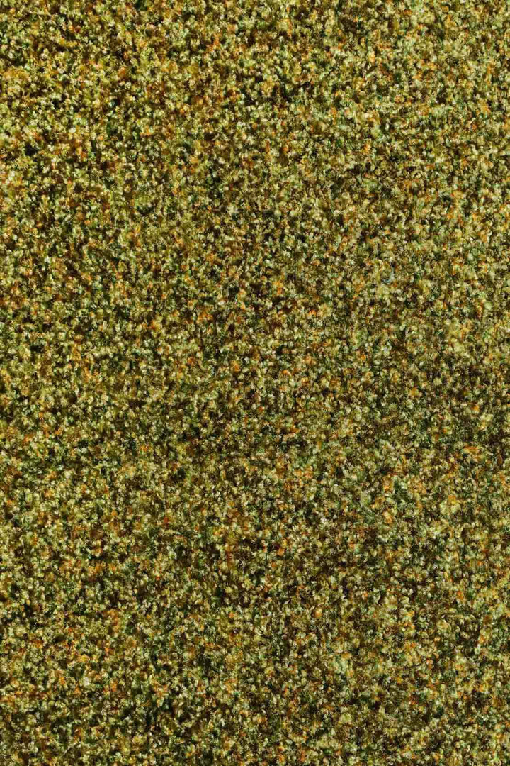 Wall to Wall Carpet Focus 1633 - V Surfaces