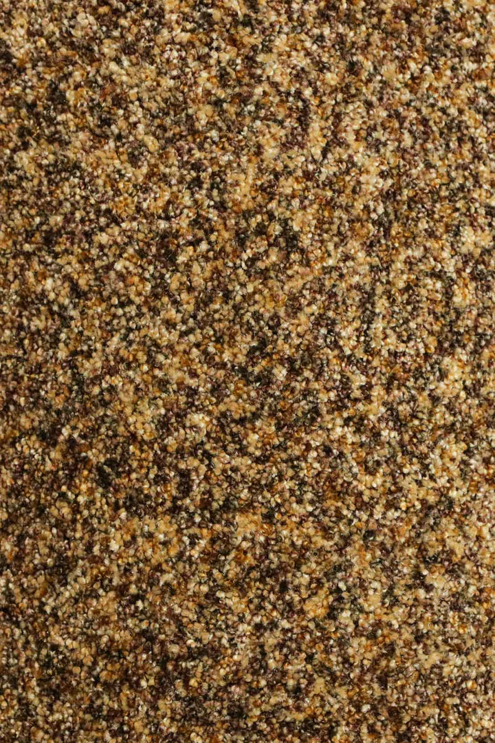 Wall to Wall Carpet Focus 1668 - V Surfaces