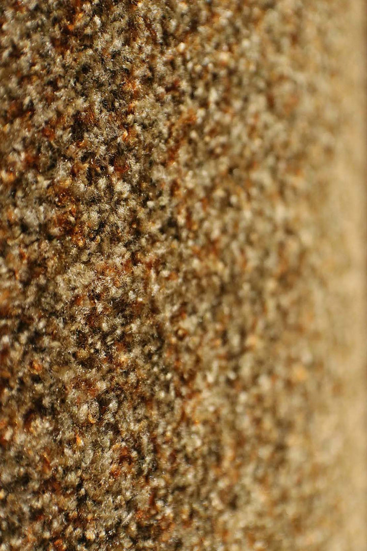 Wall to Wall Carpet Gaza 15 - V Surfaces