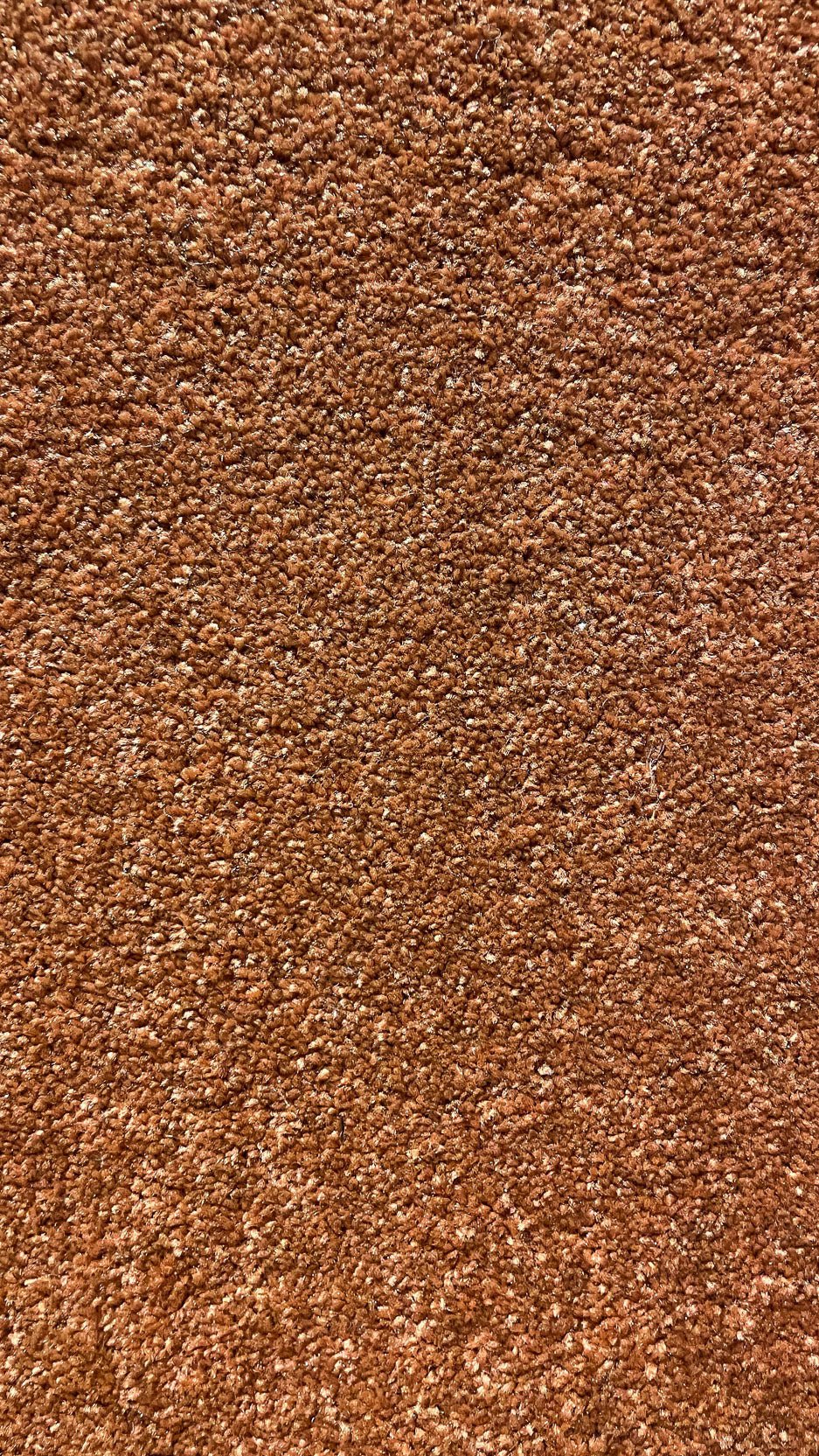 Yasrab 165 - 12-Foot Wide Wall-to-Wall Carpet - V Surfaces