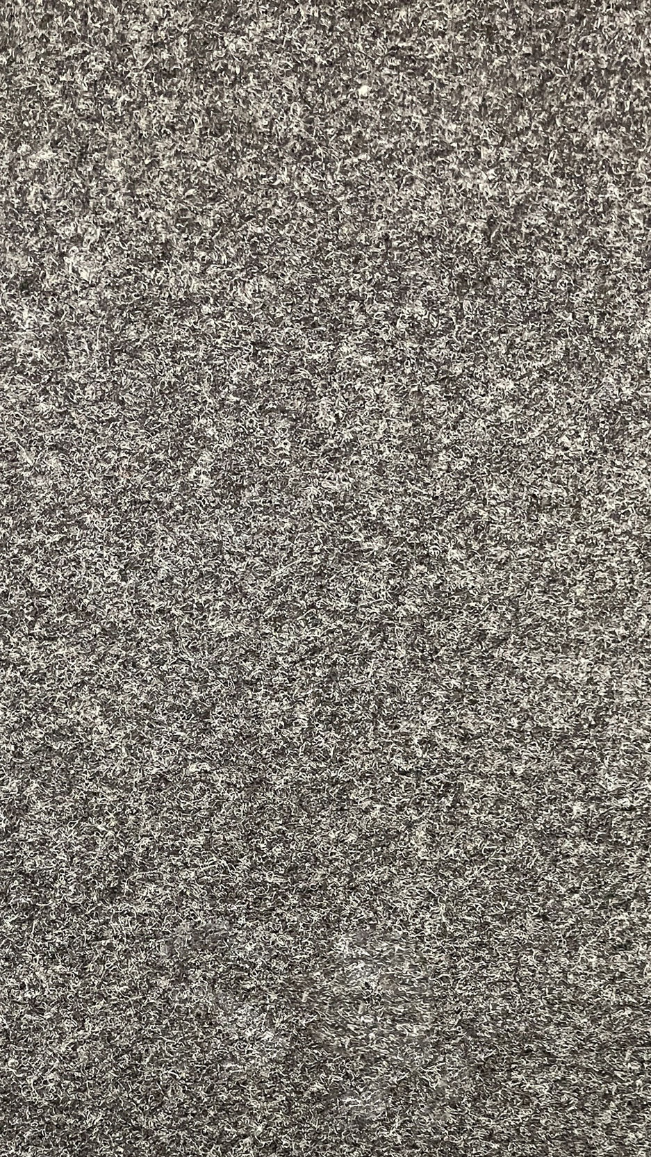 Yasrab 63 - 12 - Foot Wide Wall - to - Wall Carpet - V Surfaces