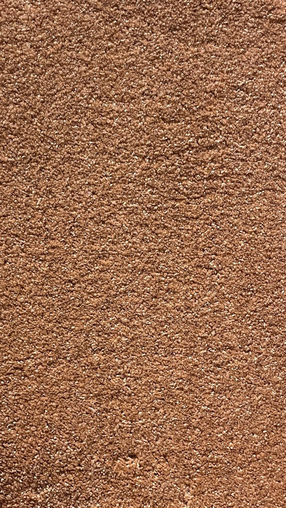 Yasrab 74 - 12 - Foot Wide Wall - to - Wall Carpet - V Surfaces